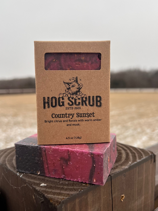 Hog Scrub Country Sunset